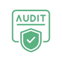 WordPress Website Audits
